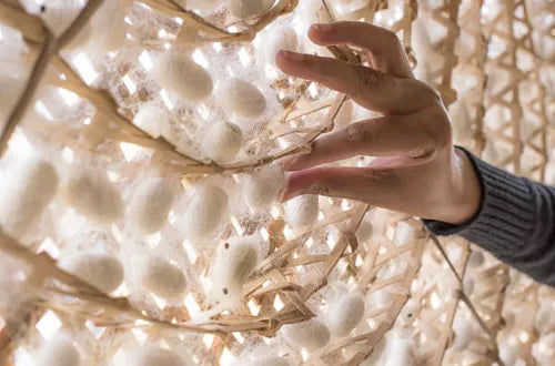 Why You Should Wear Pure Natural Fibres - Silk
