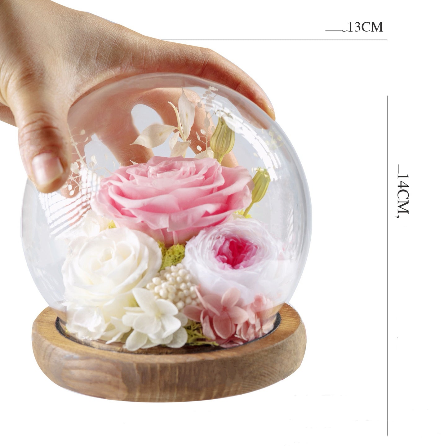 100% Handmade Eternal Real Flowers with Soft LED in Exquisite Glass Cover and Gift Box - A Timeless Gift for Life’s Most Cherished Moments
