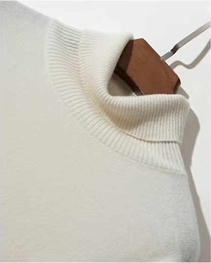 Audrie Men: 100% Cashmere Turtle Neck Jumper